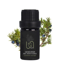 copy of Immortelle de Corse...