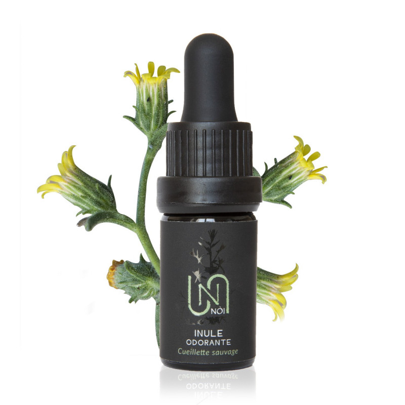 Huile Essentielle Inule Odorante Biologique 2,5ml