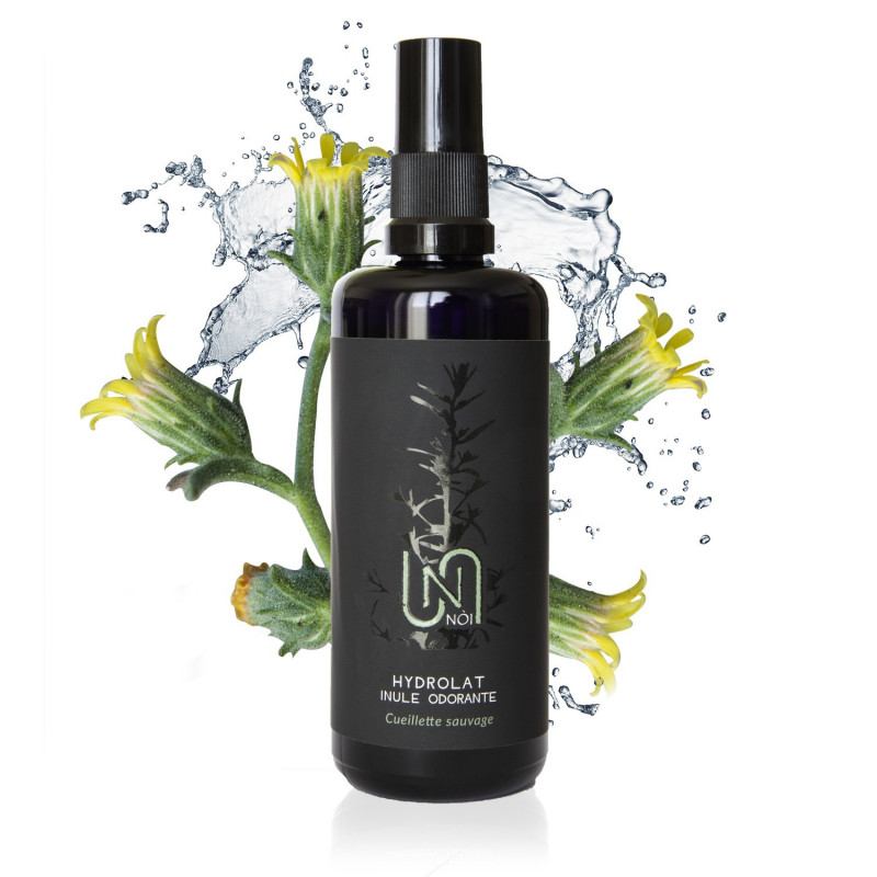 Hydrolat Inule Odorante Biologique 100ml
