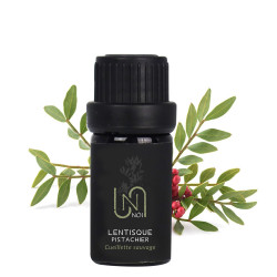 copy of Immortelle de Corse...